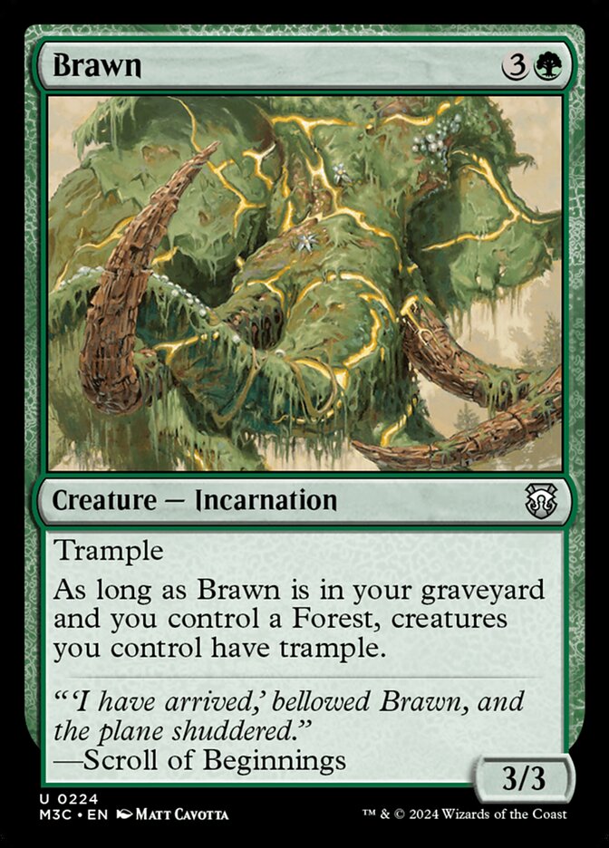 Brawn - M3C 224