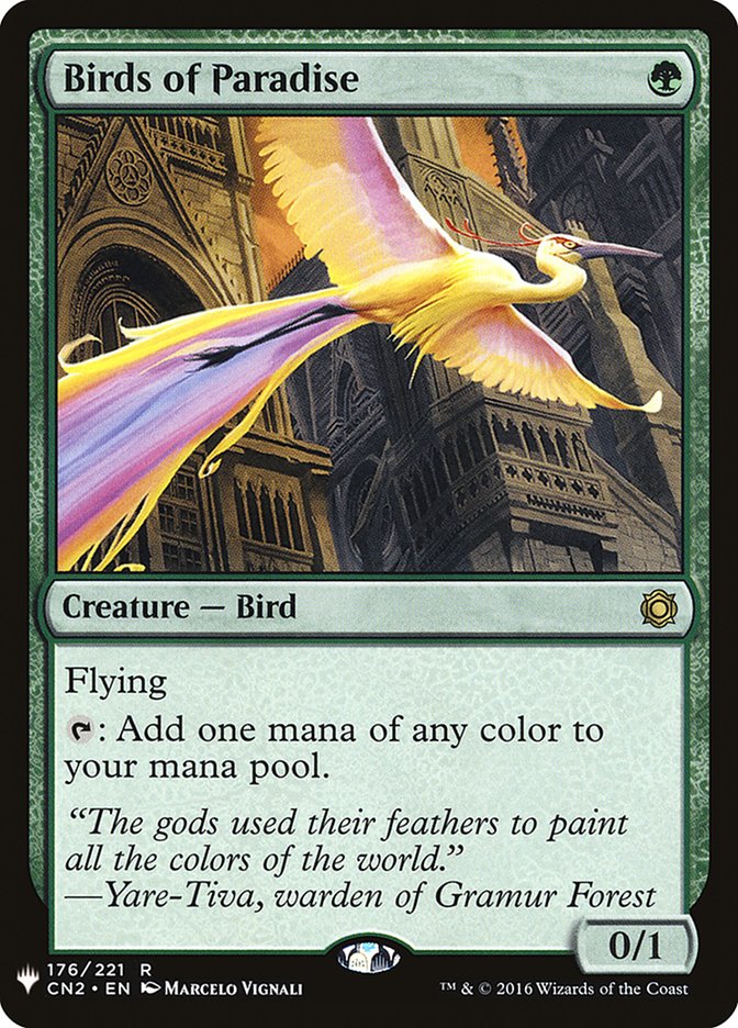 Birds of Paradise - PLST CN2-176