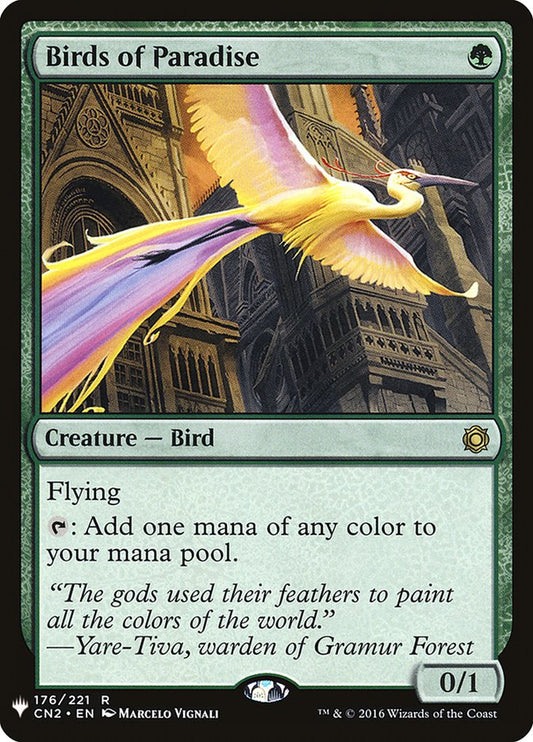 Birds of Paradise - PLST CN2-176