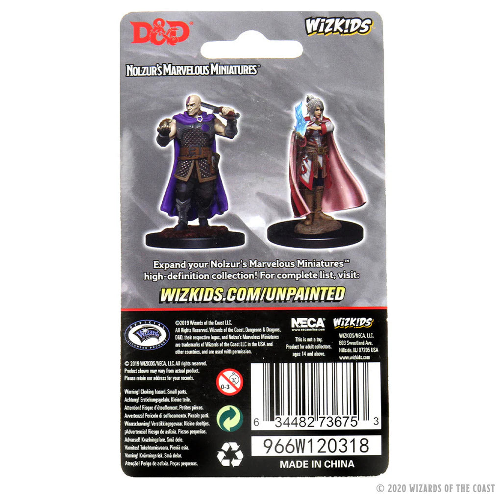 D&D Nolzur's Marvelous Miniatures - Human Ranger & Moon Elf Sorcerer #73675
