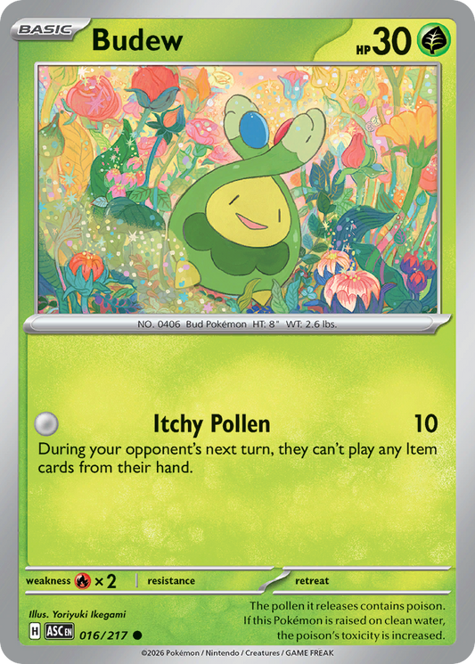 Budew - 016/217 - Ascended Heroes 016/217 - Near Mint