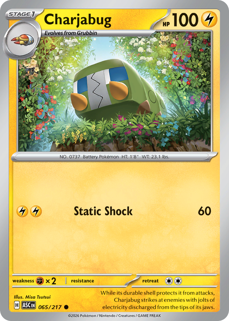 Charjabug (Energy Symbol Pattern) - Ascended Heroes 065/217 (Foil) - Near Mint