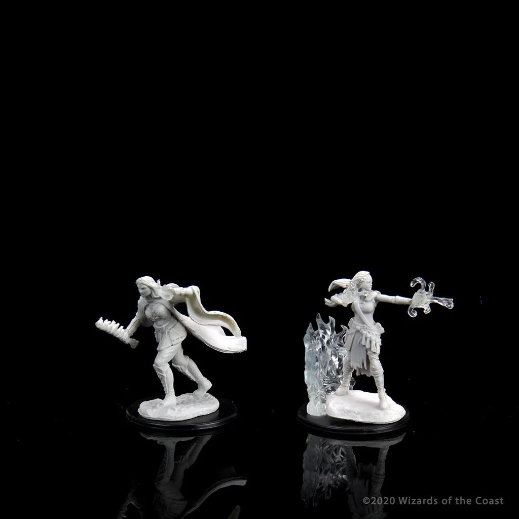D&D Nozlur’s Marvelous Miniatures: Multiclass Warlock & Sorcerer - #90149