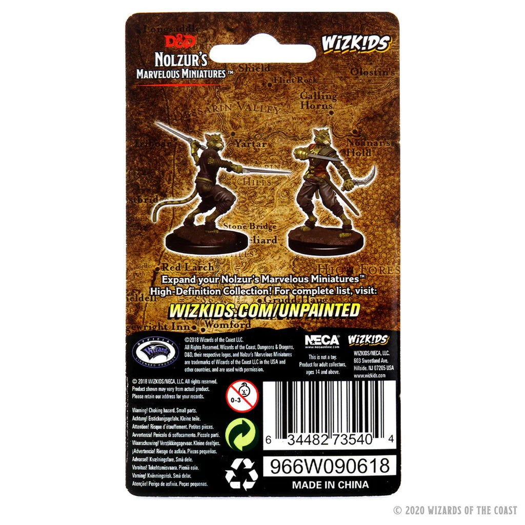 D&D Nolzur's Marvelous Miniatures - Male Tabaxi Rogue #73540