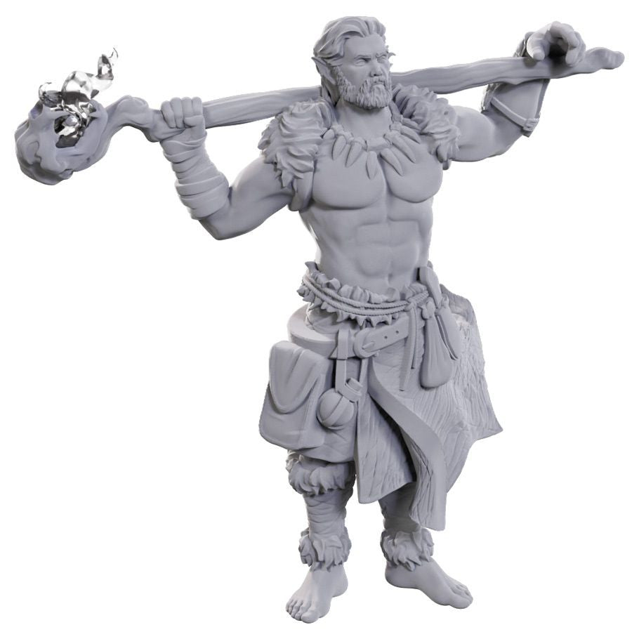 Nolzur’s Marvelous Miniatures: Archdruid & Martial Arts Adept