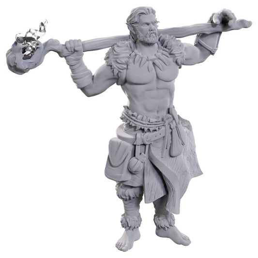 Nolzur’s Marvelous Miniatures: Archdruid & Martial Arts Adept